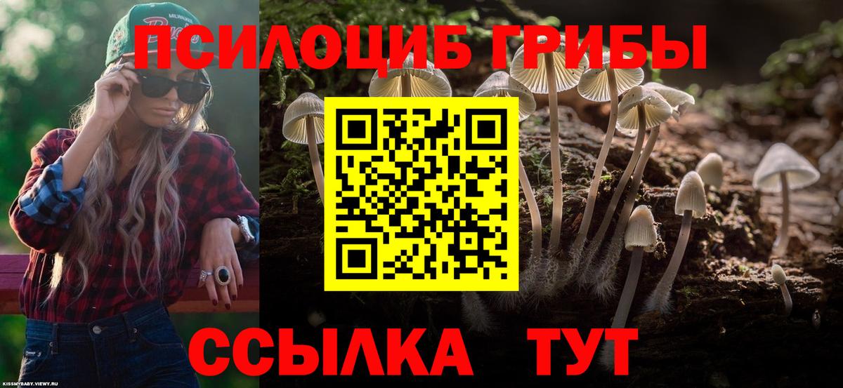 Псилоцибиновые грибы мухоморы Кизилюрт